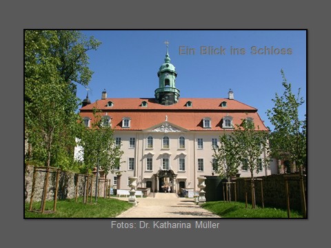 Fotoalbum - Ein Blick ins Schloss