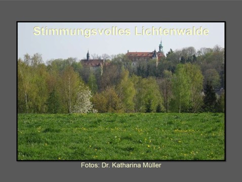 Fotoalbum Stimmungsvolles Lichtenwalde