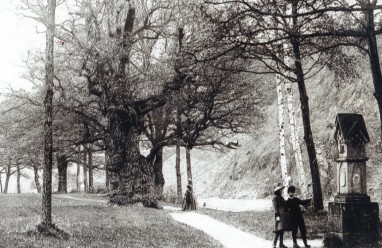 Harraseiche und Harrasdenkmal